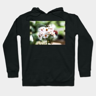 Milkweeds at Savill Garden staring at you Hoodie